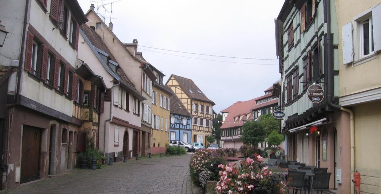 Neuf Et Cosy A Barr, Route Des Vins Lägenhet Exteriör bild